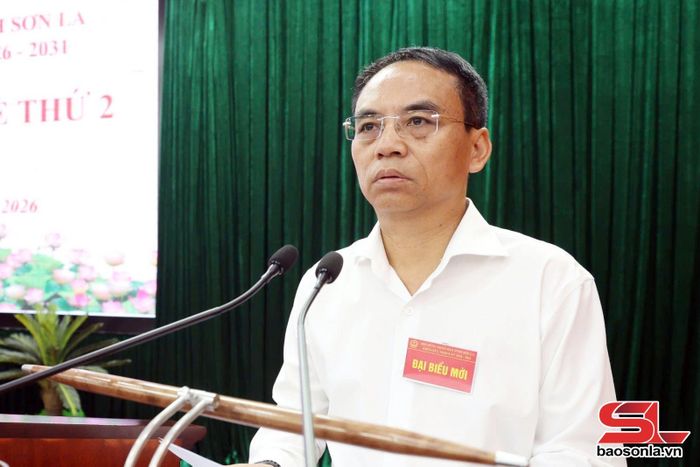 Đồng chí Phó Chủ tịch UBND tỉnh báo cáo nội dung tại kỳ họp.