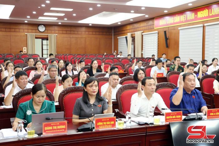 Các đại biểu biểu quyết thông qua tờ trình dự thảo nghị quyết.