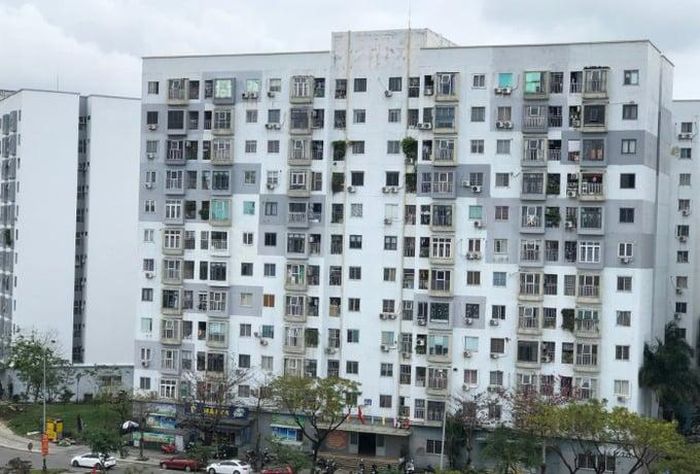 Thủ tướng chỉ đạo ưu tiên phát triển nhà ở cho thuê.