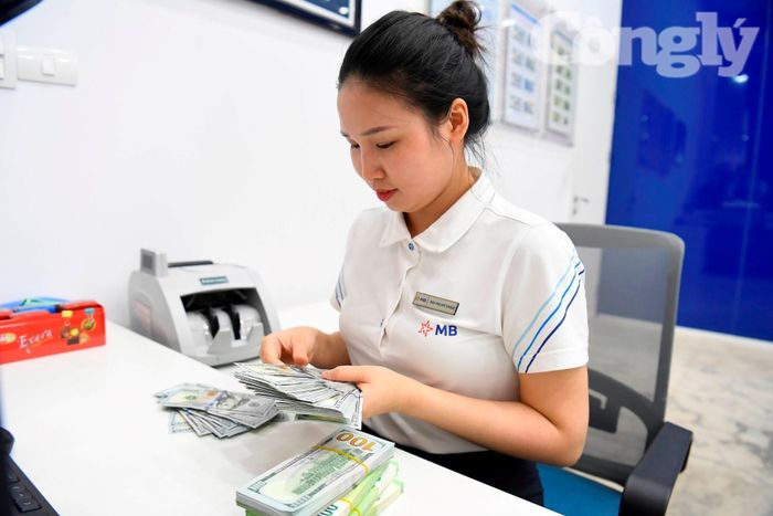 Nhiều khách hàng cân nhắc lựa chọn kỳ hạn gửi tiền dài hơn để tối ưu hóa lợi nhuận khi các ngân hàng bắt đầu điều chỉnh giảm lãi suất tiết kiệm.
