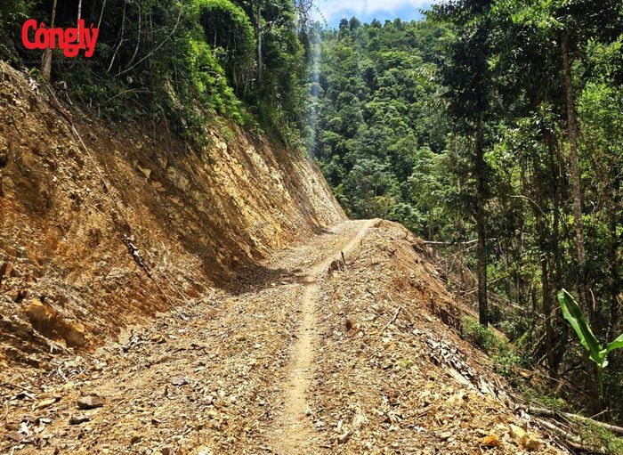 Dự án do Ban Quản lý dự án đầu tư xây dựng các công trình Nông nghiệp và Phát triển nông thôn tỉnh Sơn La làm chủ đầu tư, với tổng mức đầu tư hơn 183 tỷ đồng.