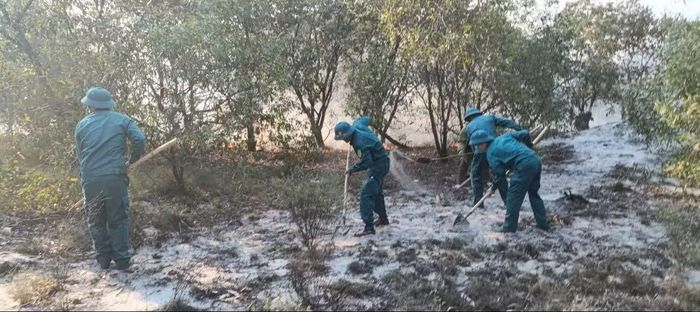 Khi xảy ra cháy rừng lớn, lực lượng chức năng tập trung phát sẻ, mở đường băng để khống chế đám cháy sẽ hiệu quả hơn việc dập lửa trực tiếp.