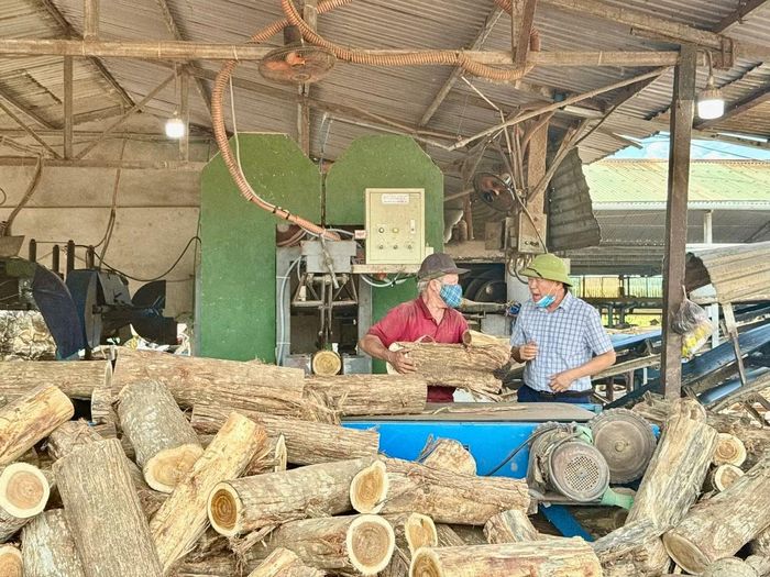 Ông Thơ trao đổi quy trình sản xuất với công nhân.