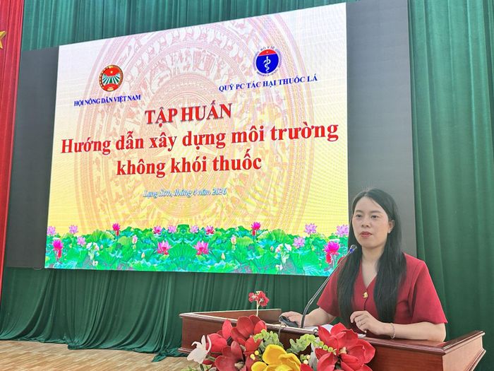 Cán bộ chuyên môn tập huấn hướng dẫn xây dựng môi trường không khói thuốc lá. Ảnh: ST