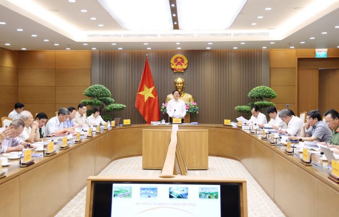 Quang cảnh hội nghị 