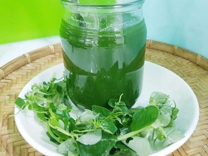 Nước ép rau càng cua - thức uống thanh nhiệt, giải khát...
