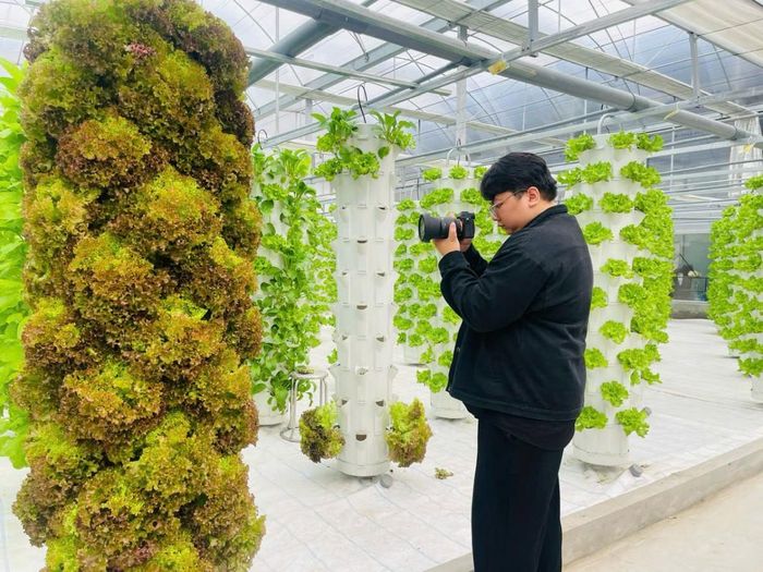Những tác phẩm báo chí bám sát cơ sở góp phần đưa câu chuyện nông nghiệp xanh đến gần hơn với công chúng và thị trường. Trong ảnh: Tác giả đang thực hiện phóng sự ảnh về mô hình rau khí canh tại Hà Nội.