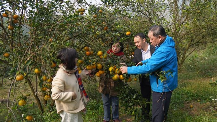 Báo chí có thể góp phần bảo vệ những chủ thể làm thật bằng cách phản ánh đúng nỗ lực xây dựng vùng nguyên liệu, tiêu chuẩn và thương hiệu.