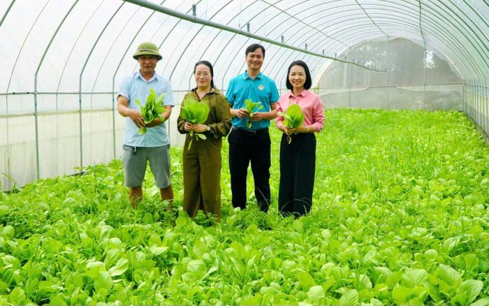 Chủ tịch Hội Nông dân thành phố Hà Nội Phạm Hải Hoa thăm mô hình trồng rau hữu cơ trong nhà lưới áp dụng công nghệ Nhật Bản của anh Phùng Danh Vũ, Giám đốc HTX Nông nghiệp Rau sạch Ba Vì 4 mùa, quy mô 2ha (xã Vật Lại). Mô hình cho thu lãi ổn định khoảng 20 triệu đồng/tháng. Ảnh: HND
