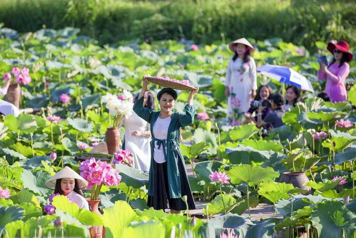 Nhiều hoạt động trải nghiệm tại Lễ hội sen Hà Nội 2026. Ảnh: HNM