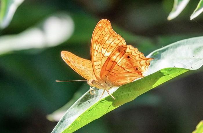 Người sinh ngày 6 Âm lịch có khả năng giao tiếp khéo léo, dễ tạo thiện cảm với người đối diện. Nhờ đó, các mối quan hệ xã hội của họ khá phong phú và đa dạng. Ảnh minh họa