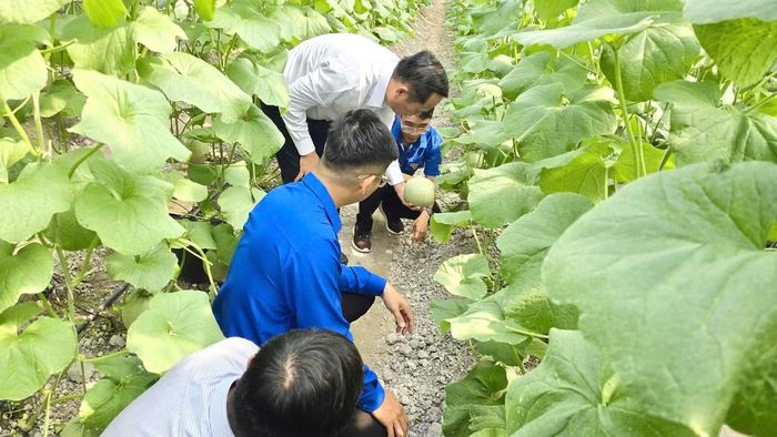Với tinh thần dám nghĩ, dám làm, chủ động vươn lên phát triển kinh tế trên chính quê hương mình, đồng chí Ngô Thái Học - Phó Bí thư Chi đoàn Trường TH&amp;THCS Lương Thế Vinh là một trong những gương thanh niên tiêu biểu trong phong trào khởi nghiệp, lập nghiệp tại phường Chơn Thành (TP Đồng Nai).