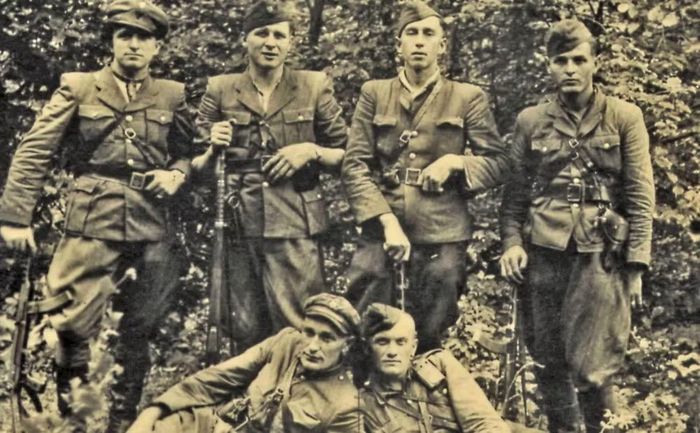 UPA là lực lượng gây tranh cãi trong lịch sử Ba Lan và Ukraine. Đơn vị này bị cáo buộc đứng sau cuộc diệt chủng trong Thế chiến II khiến 100.000 người Ba Lan thiệt mạng. Sau đó, hàng nghìn người Ukraine cũng thiệt mạng trong các cuộc tấn công trả đũa.