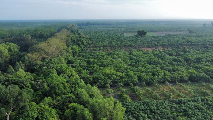 Dự án đang đẩy nhanh giải phóng mặt bằng và hoàn thiện thủ tục để khởi công trong năm 2026., Ảnh: VQ