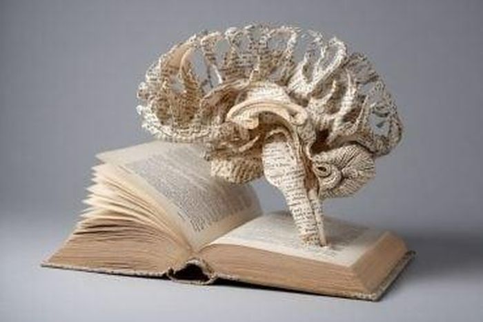 Bộ não thẩm thấu câu chuyện từ sách giấy nhanh hơn khi đọc trên thiết bị số. Ảnh: Neuroscience News.