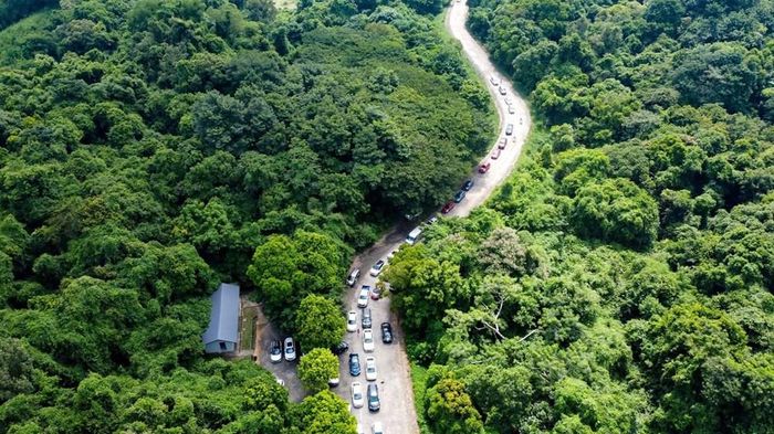Đoàn xe nối đuôi nhau vào tham quan Vườn quốc gia Cúc Phương
