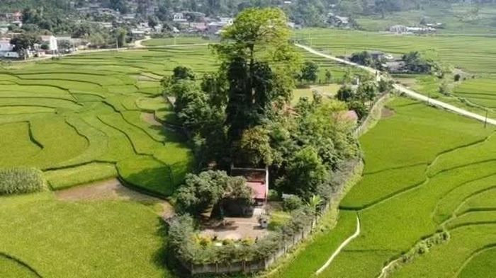 Di tích đền Tượng