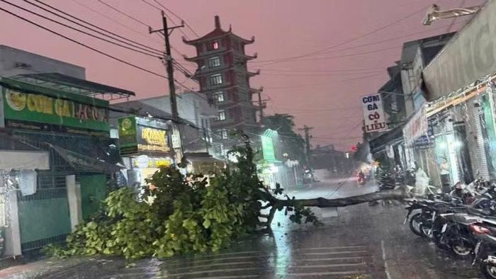 Nhiều cây xanh đổ ngã.