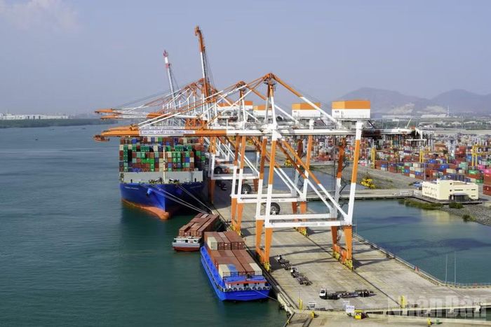 Tàu container cập cảng ở Cái Mép-Thị Vải, gần với khu vực Cái Mép Hạ.