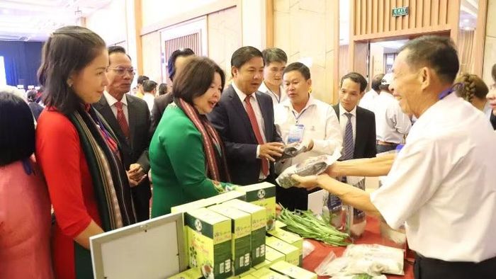 Các đại biểu tham quan các gian hàng của các hợp tác xã trưng bày bên lề đại hội.