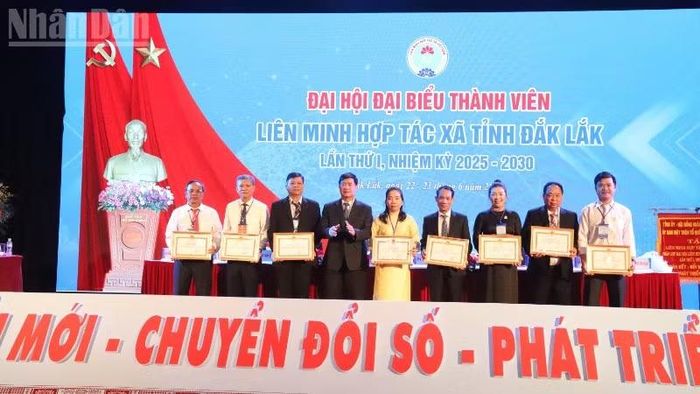 Các tập thể nhận Bằng khen của Ủy ban nhân dân tỉnh Đắk Lắk.