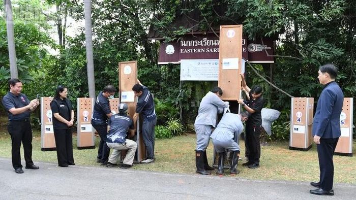 Sếu được đưa vào thùng chuyên dụng tại lễ bàn giao. (Ảnh: XUÂN SƠN)