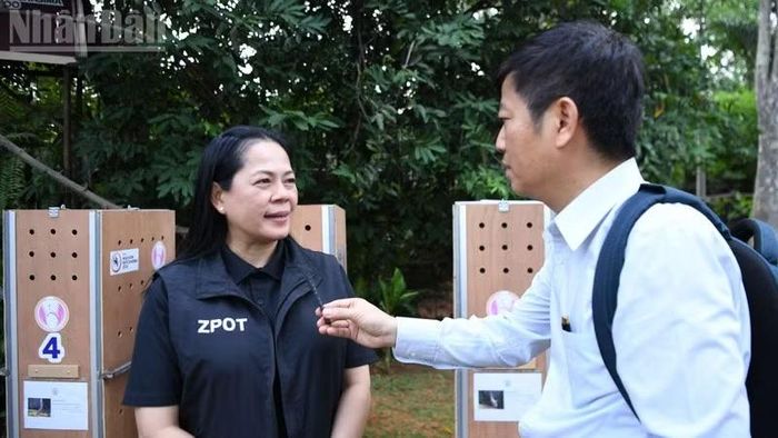 Tổng Giám đốc ZPOT Chongkolnee Kaewsod trả lời phỏng vấn phóng viên Báo Nhân Dân thường trú tại Thái Lan. (Ảnh: MINH THẮNG)