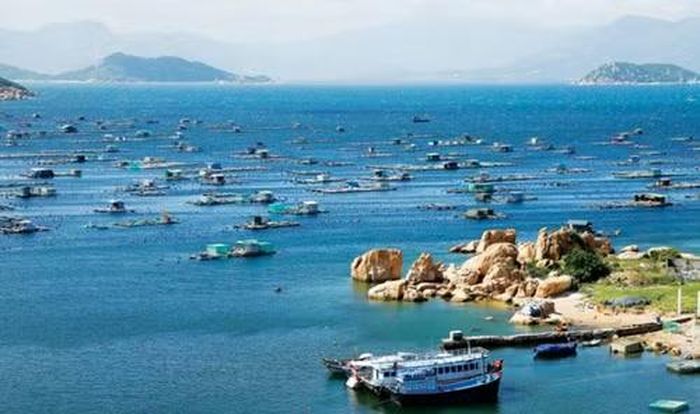 Khánh hòa là một trong những địa phương có diện tích nuôi trồng thủy sản lớn của Việt Nam.