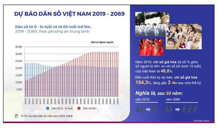 Dự báo dân số Việt Nam đến năm 2069. Ảnh chụp màn hình