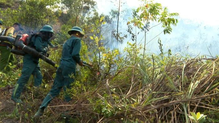 Lực lượng chức năng nỗ lực khống chế đám cháy rừng. Ảnh: DƯƠNG QUANG