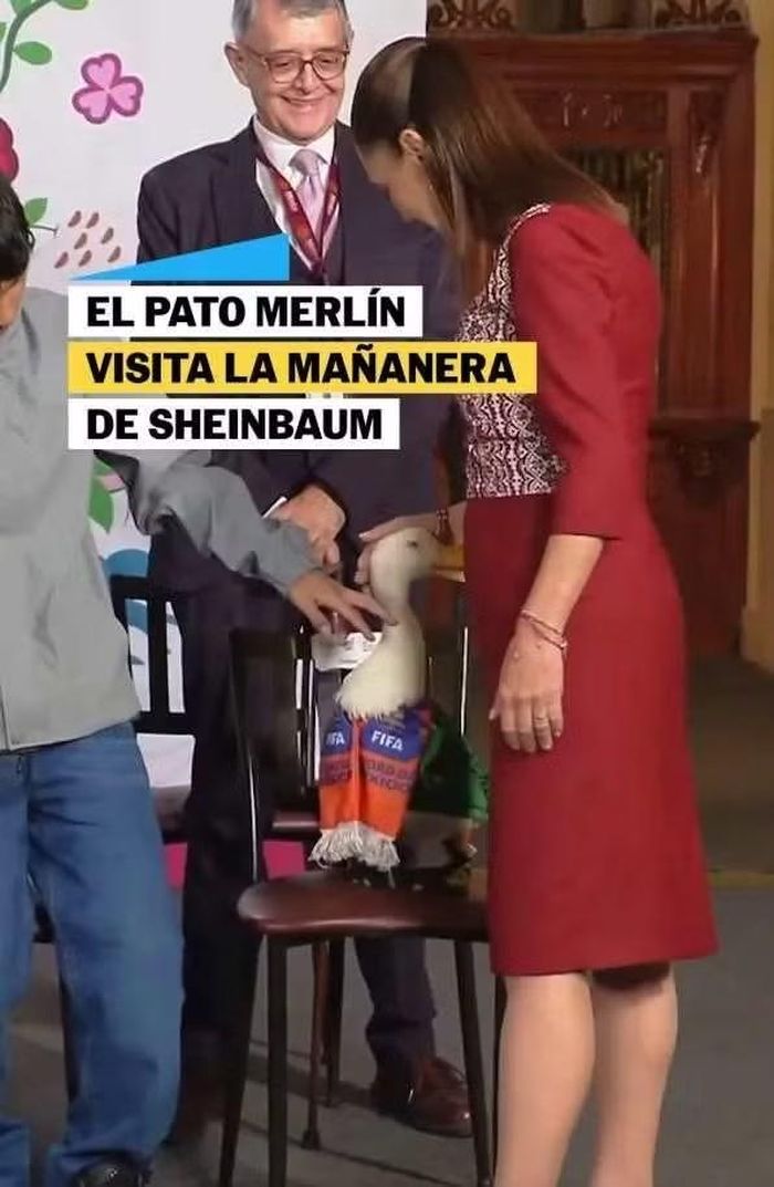 Chú vịt Merlin mổ nhẹ về phía Tổng thống Mexico Claudia Sheinbaum.