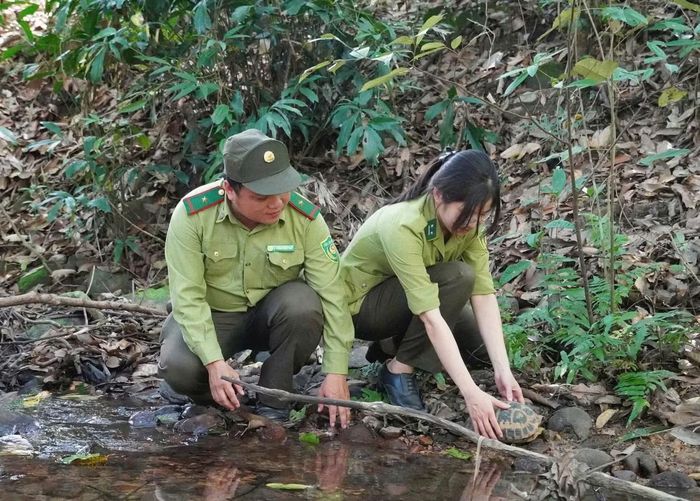 Trước khi thả về môi trường tự nhiên, cả 4 cá thể đều có sức khỏe tốt, nhanh nhẹn.