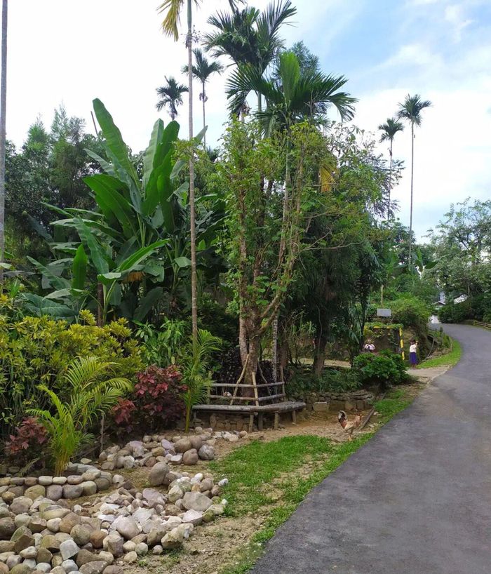 Khung cảnh ở ngôi làng Mawlynnong. Ảnh: WikimediaCommons/Explore heaven