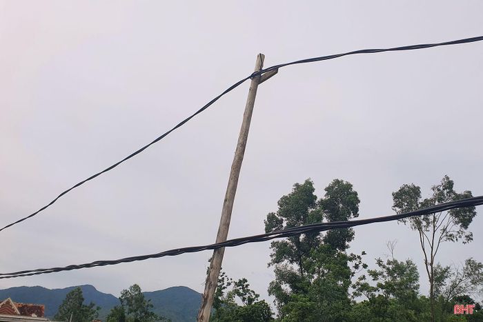 Người dân tự ý kéo dây điện dài hàng trăm mét với những cọc tre, cọc gỗ tạm bợ.