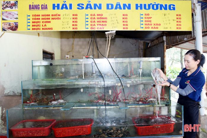 Sau hành trình khám phá, du khách có thể thưởng thức nhiều loại hải sản tươi ngon, mang đậm hương vị của biển Kỳ Xuân.