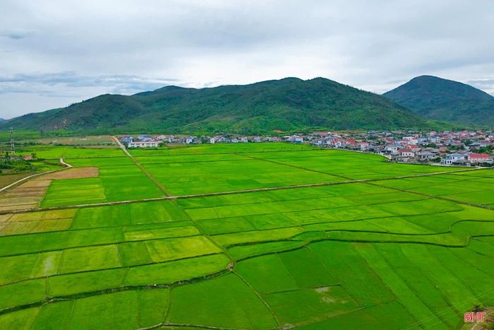 Không chỉ có biển, hành trình còn đi qua những cánh đồng xanh mướt dưới chân núi, tạo nên bức tranh thiên nhiên hài hòa và gần gũi.