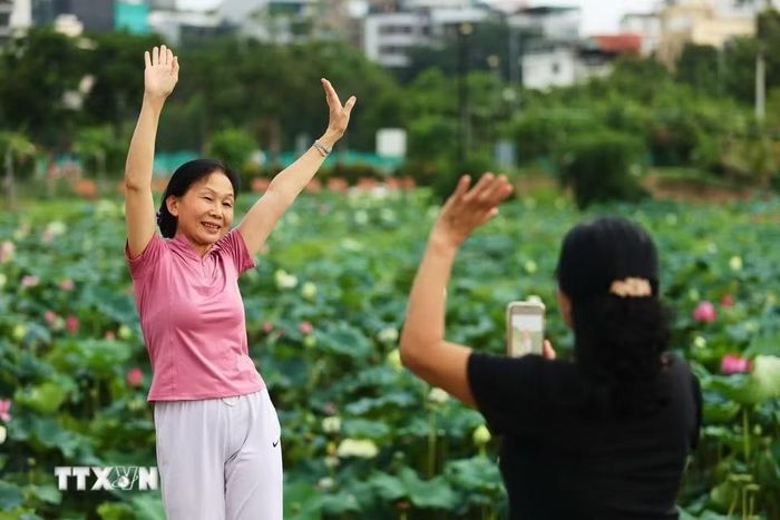 Những phút giây thư giãn cùng cảnh sen bên Hồ Tây. (Ảnh: Tiến Long/TTXVN phát)