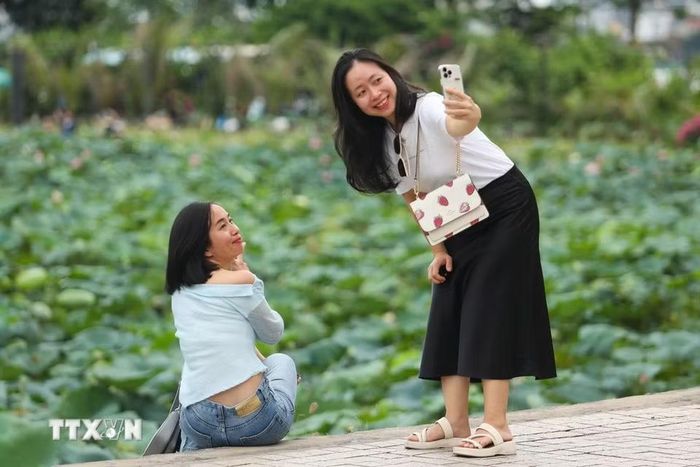 Người dân có những phút giây thư giãn ngắm nhìn cảnh sen bên Hồ Tây. (Ảnh: Tiến Long/TTXVN phát)
