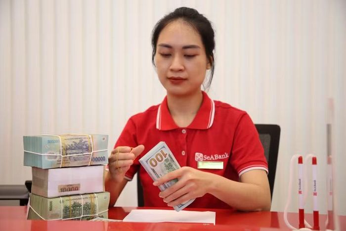 Ngân hàng Nhà nước tăng trần vốn ngắn hạn cho vay dài hạn. (Ảnh: Vietnam+)