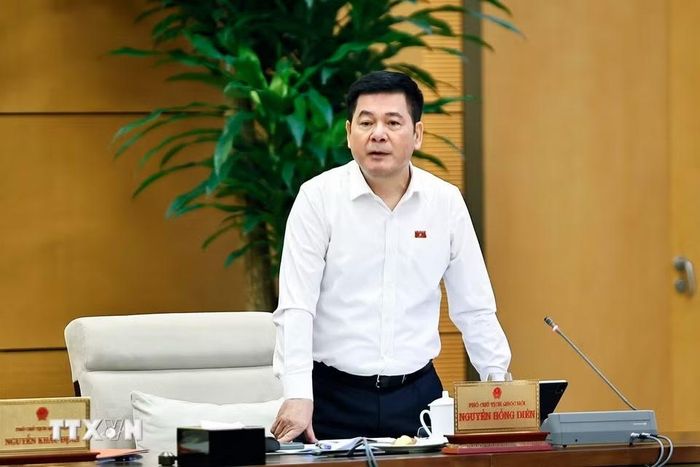 Phó Chủ tịch Quốc hội Nguyễn Hồng Diên phát biểu. (Ảnh: Doãn Tấn/TTXVN)