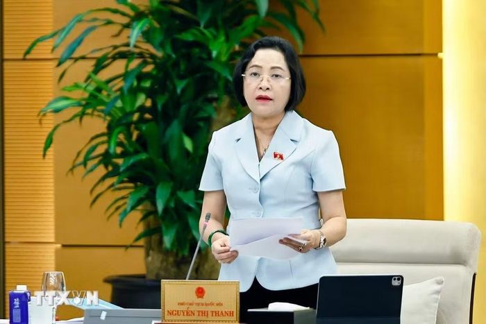 Phó Chủ tịch Quốc hội Nguyễn Thị Thanh phát biểu. (Ảnh: Doãn Tấn/TTXVN)
