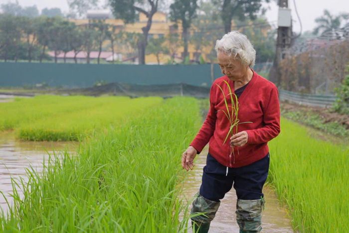 PGS.TS Nguyễn Thị Trâm quan niệm rằng giá trị tinh thần nhận lại từ thành quả nghiên cứu mới thực sự là điều hạnh phúc.