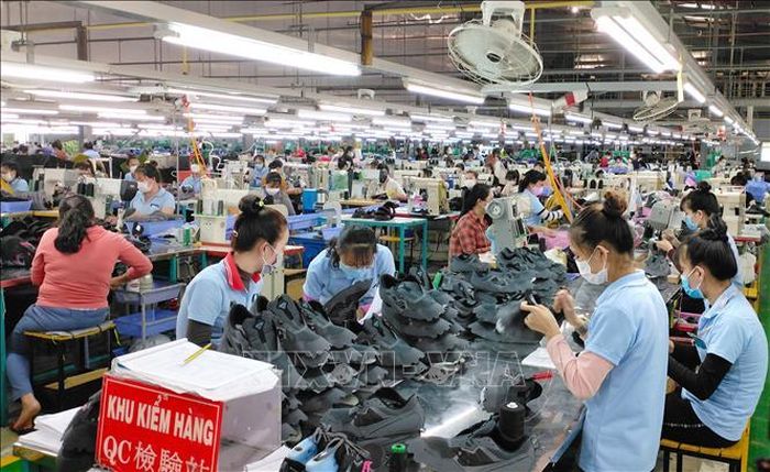 Hoạt động sản xuất tại Công ty TNHH Quốc tế Right Rich (Khu công nghiệp Hàm Kiệm 2, xã Hàm Kiệm, tỉnh Lâm Đồng). Ảnh: TTXVN phát