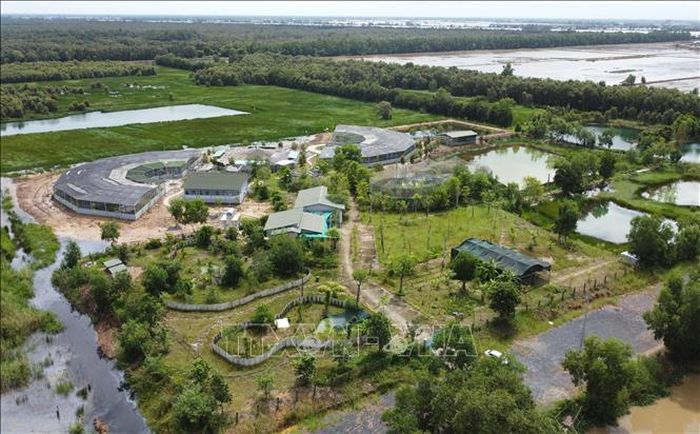 Khu vực nuôi sếu đầu đỏ tại Cơ sở bảo tồn Vườn quốc gia Tràm Chim. Ảnh: Nhựt An/TTXVN