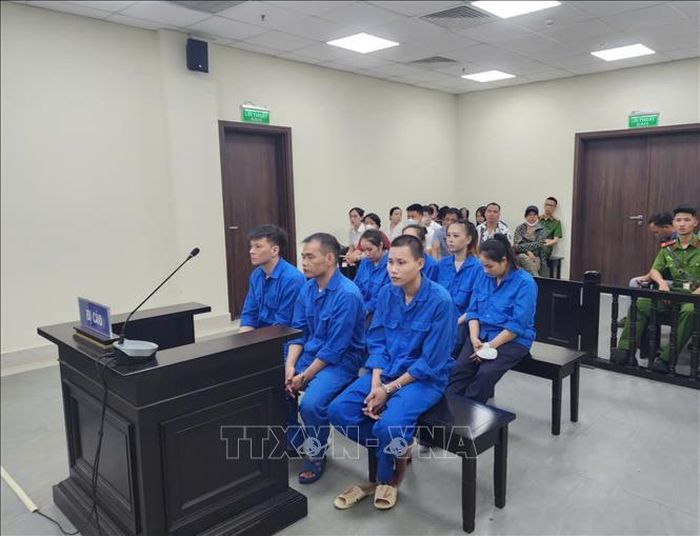 Các bị cáo tham gia vào đường dây mua bán thận tại phiên tòa.
