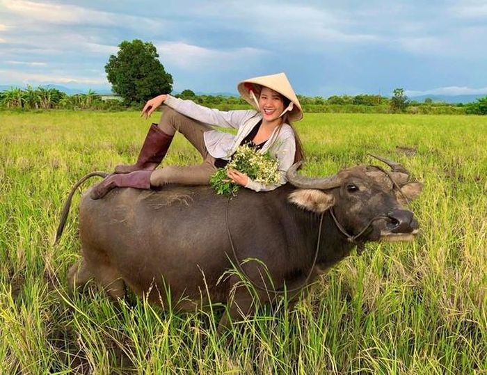 Nhắc đến Hương Ly, ngoài gương mặt đẹp, hình thể gợi cảm, kỹ năng trình diễn mãn nhãn thì khán giả còn nhớ đến câu chuyện “cô bé chăn trâu“.