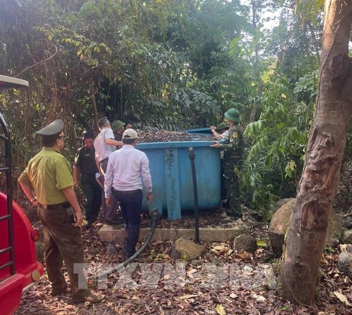 Các lực lượng chức năng đặc khu Cồn Cỏ kiểm tra hiện trạng rừng và kiểm tra các phương án phòng chống cháy rừng. Ảnh: TTXVN phát