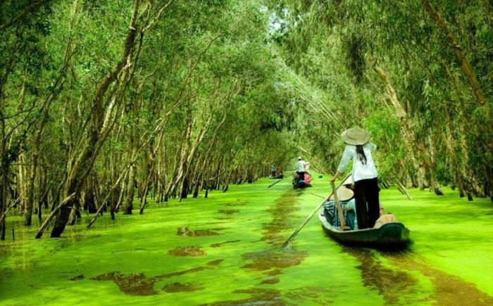Cảnh đẹp đặc trưng ở vùng sông nước miền Tây.