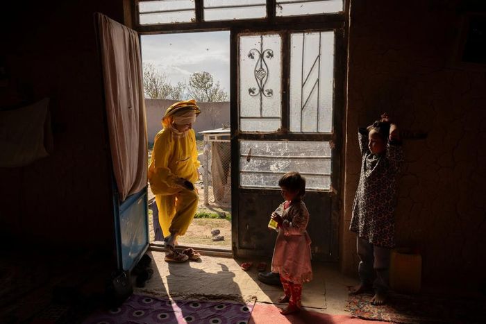 Cô Karimi đi kiểm tra đàn ong.