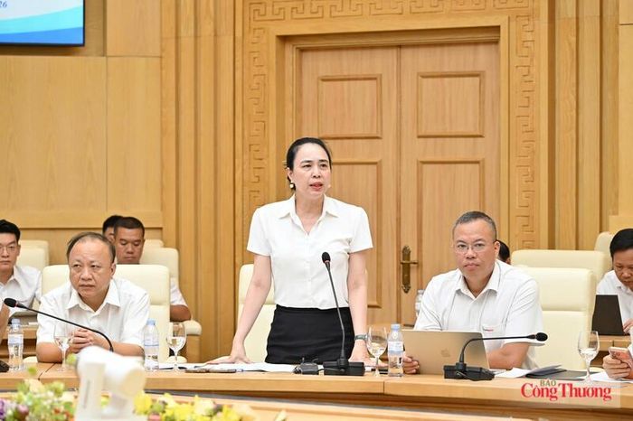 Bà Đỗ Nguyệt Ánh - Chủ tịch HĐTV Tổng công ty Điện lực miền Bắc phát biểu tại cuộc họp.
